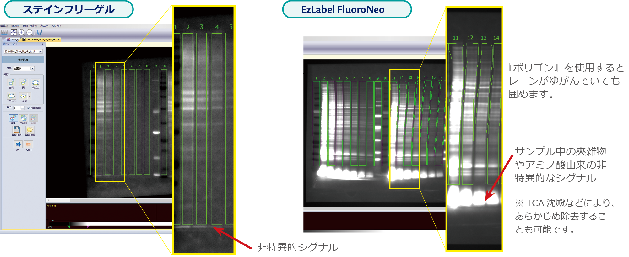 TP5p-4_230623.png