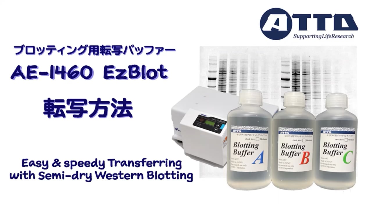 AE1460_サムネイル.png