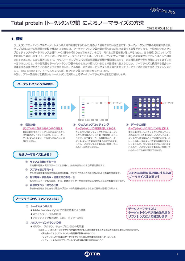 Total protein によるノーマライズの方法_ページ_01.jpg