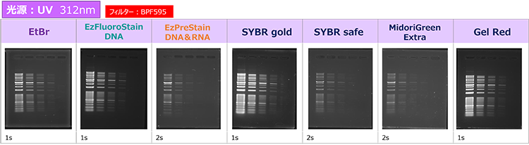 Printgraph-CMOS-DNA-UV_750.png