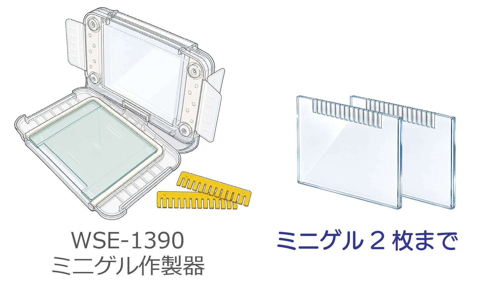 WSE-1390 -2.png