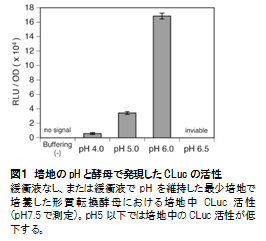 CLuc_1.png