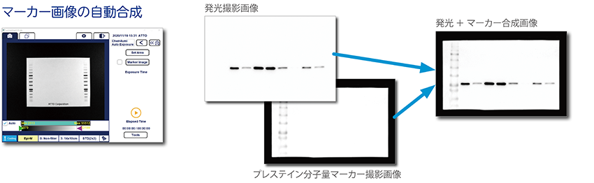 便利な撮影機能① _850px.png