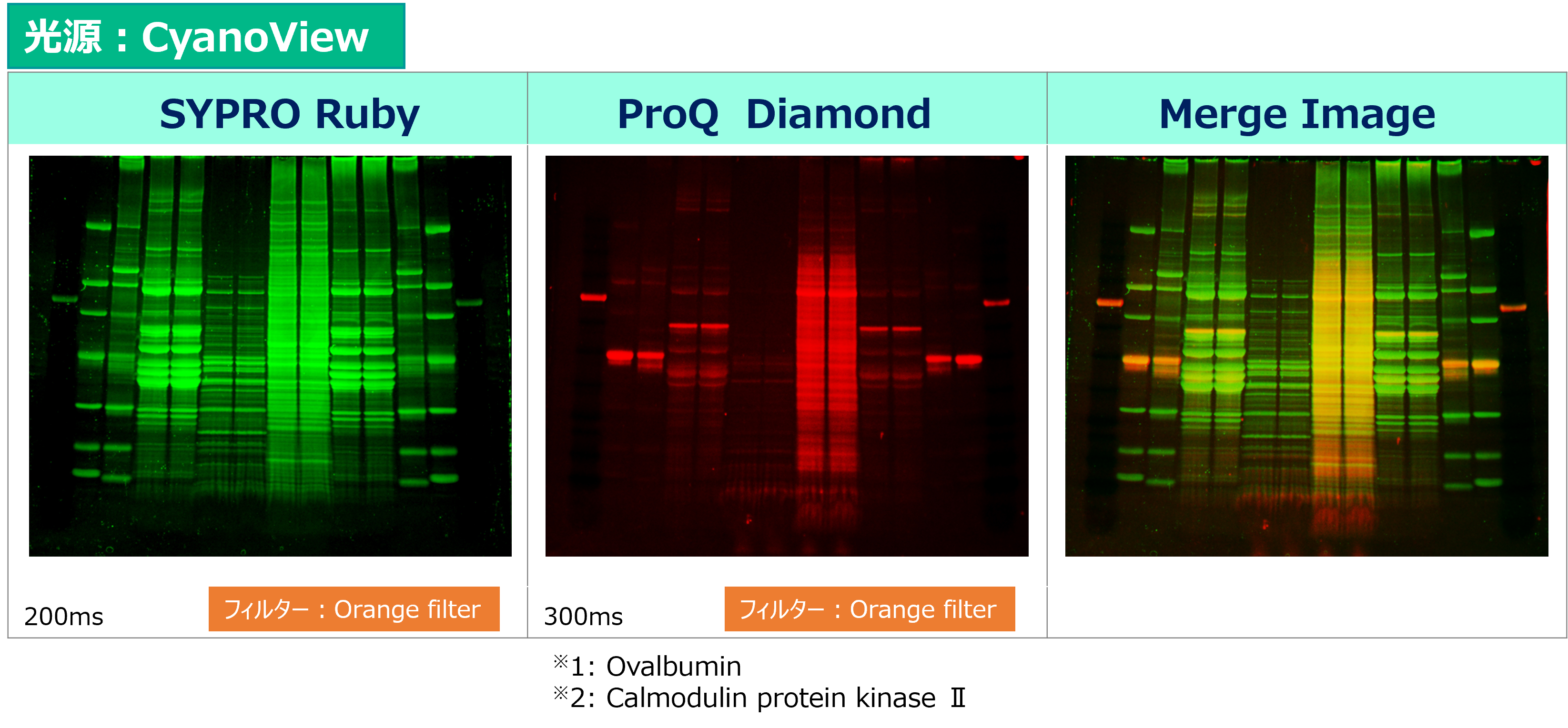 Printgraph_Classic_ProQ Merge.png