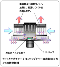 ケミルミ4_CCD_medium.png