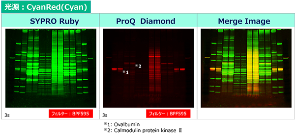 Printgraph-CMOS_ProQ-merge_600.png