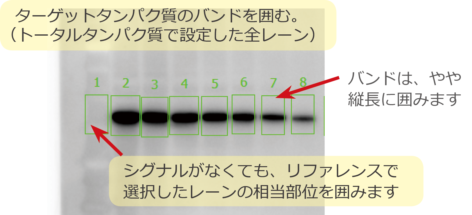 TP5p-7.png