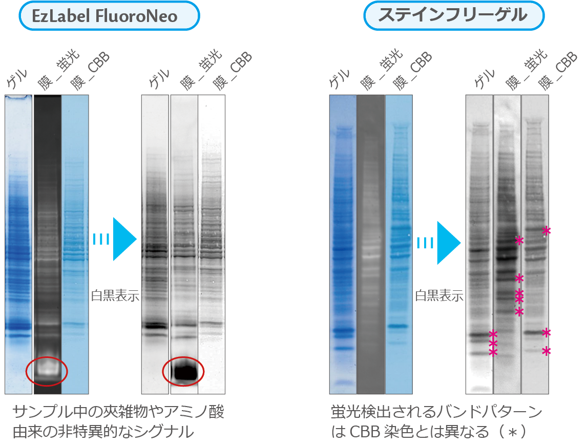 TP6p-2_230623.png