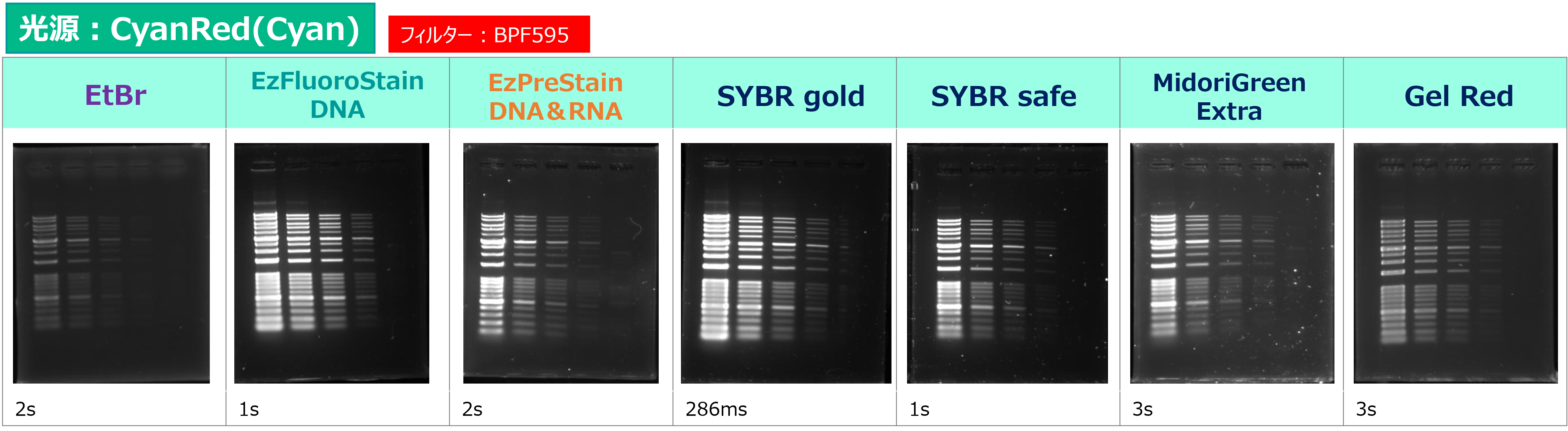 Printgraph CMOS DNA Cyan.png