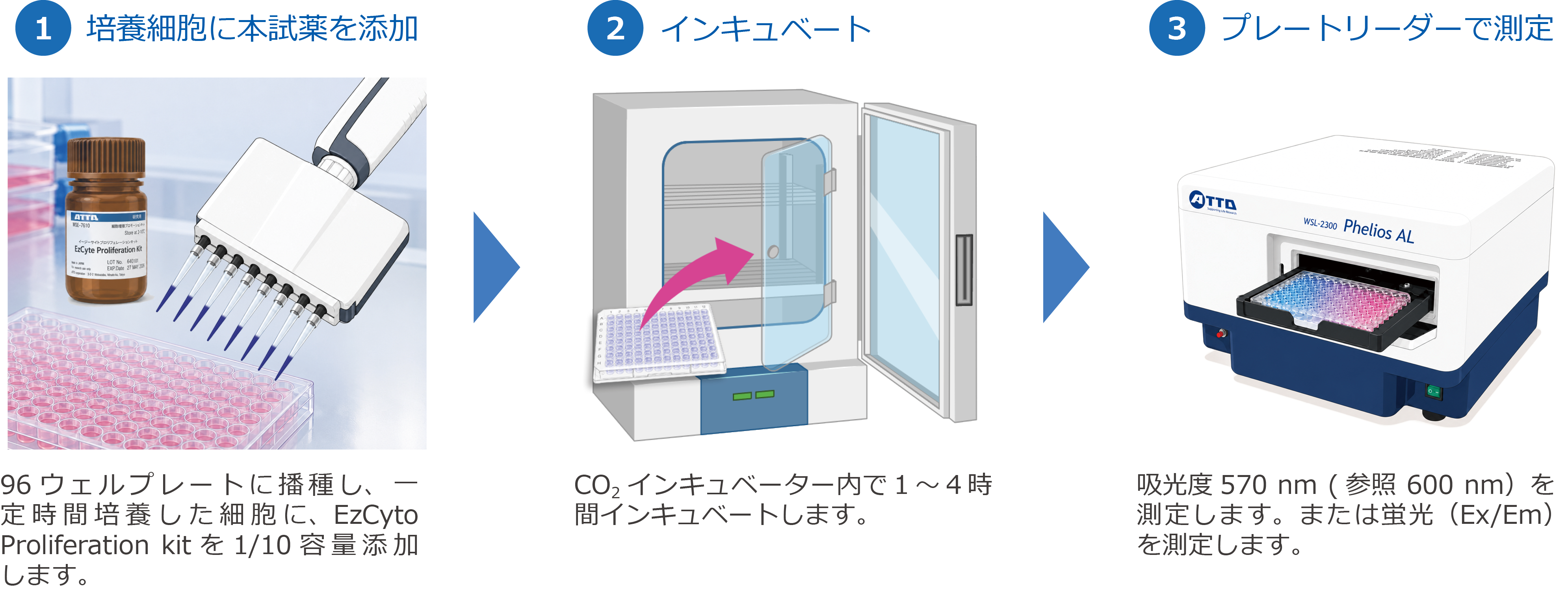 Resazurin 方法.png