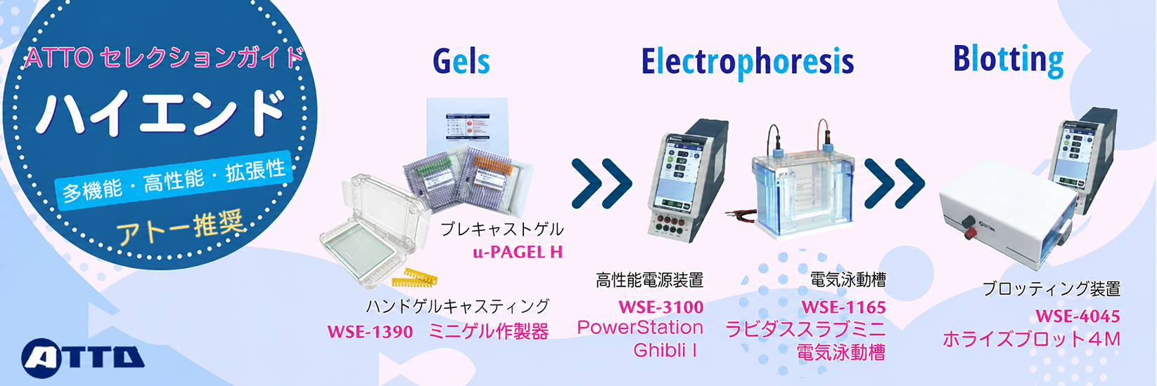 セレクションガイド３.png