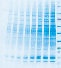 200519_83-1-0.25xAqua-dry_medium.png