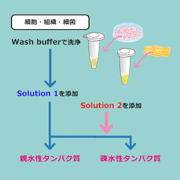 EzApply 2D Kitのワークフロー
