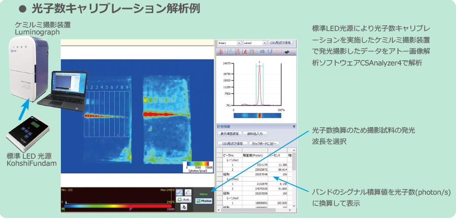 バリデーション_4.png