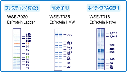 E7 のコピー.png