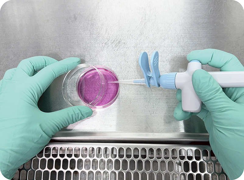 ベンチ内操作 枠なし s.png