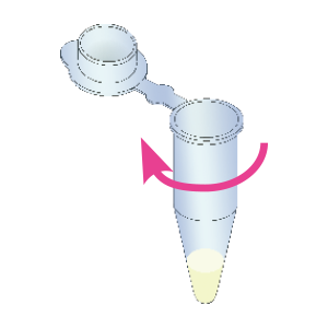 菌体の溶解_抽出液の回収.png