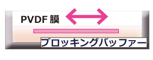 ブロッキング.png