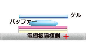 ゲル.png