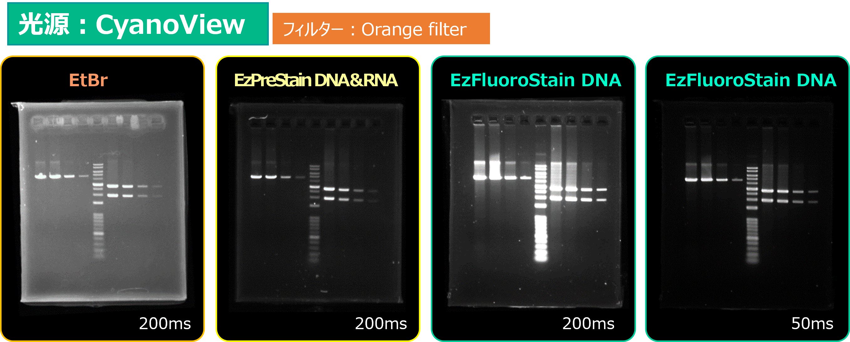 Printgraph Classic DNA Cyan Pre vs FL.png