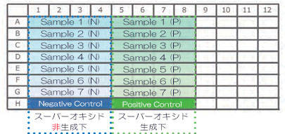 96well plateのレイアウト.jpg