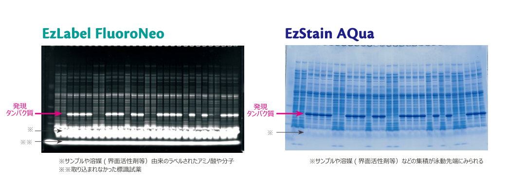 WSE⁻7010 data3.png