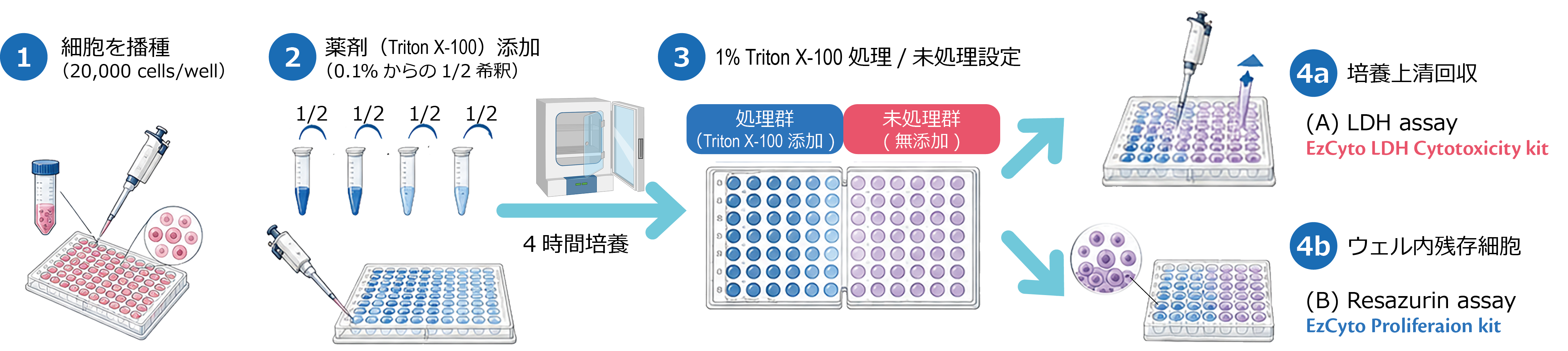 薬物による細胞毒性試験.png