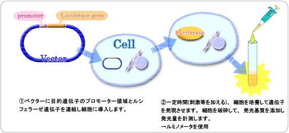 発光検出_1.png