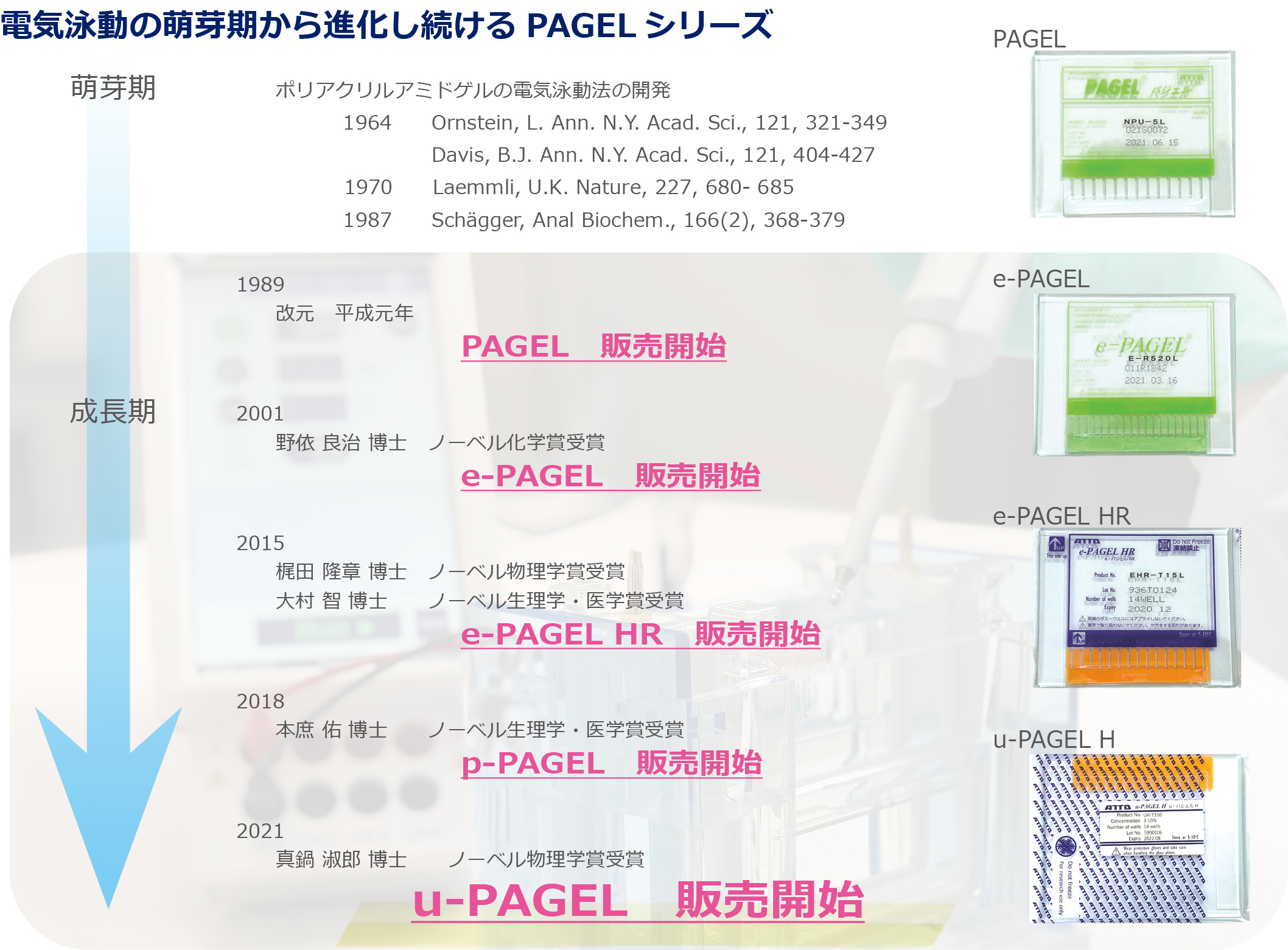 PAGELシリーズ.jpg