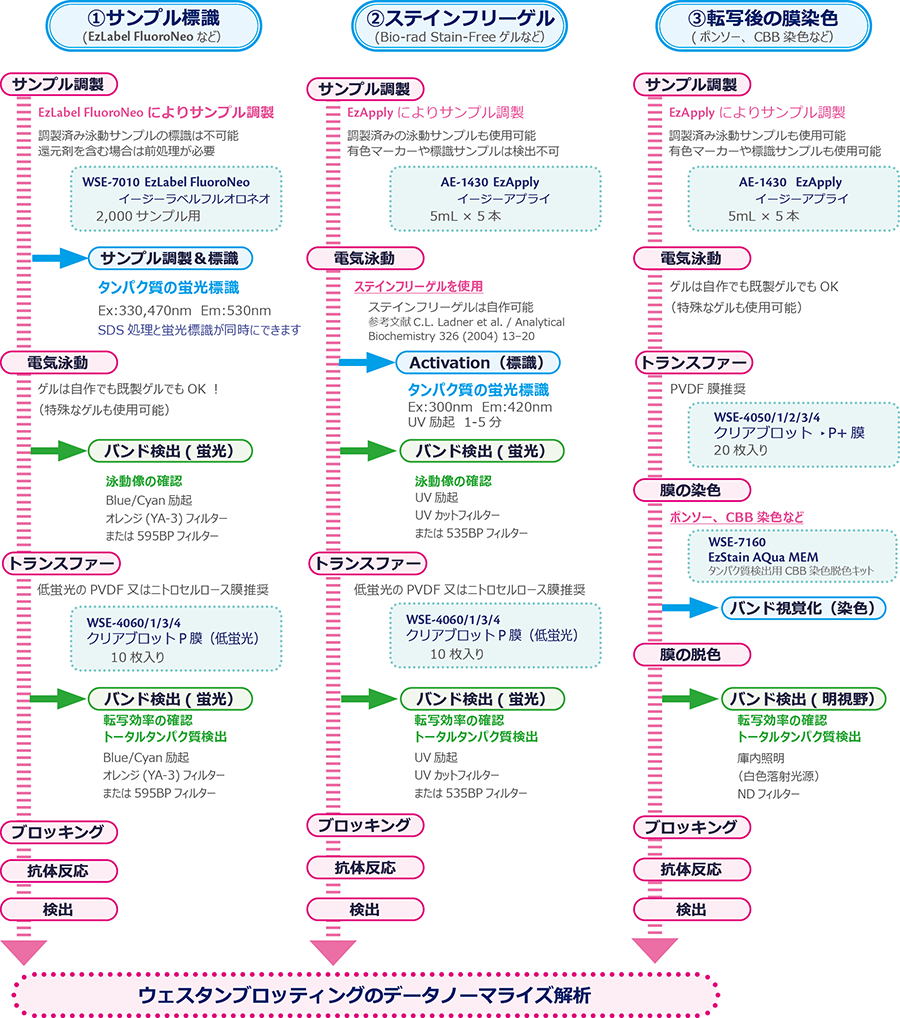 TP2p-1_230621.png