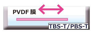 膜の洗浄.png