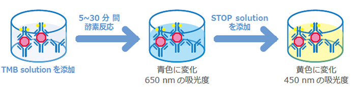 TMB_STOP_STEP.jpg