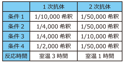 実験例1 表.png