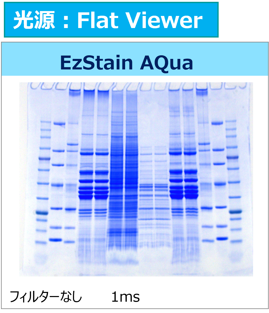 Printgraph Classic Protein Color_FV.png