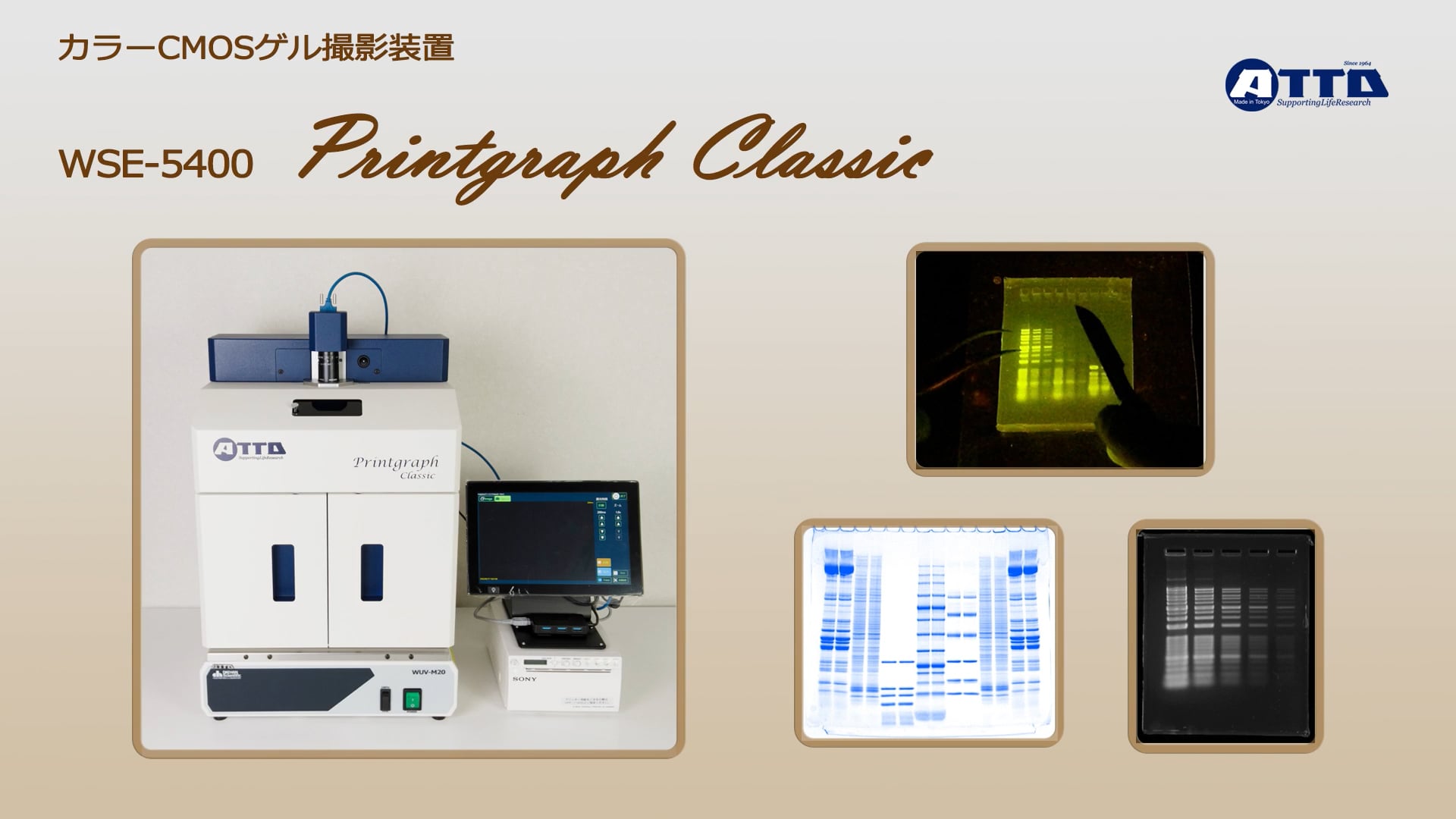 WSE5400サムネイル.png