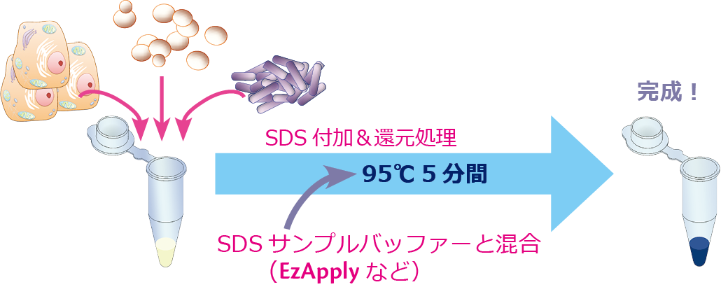 TP4p-1_230622.png