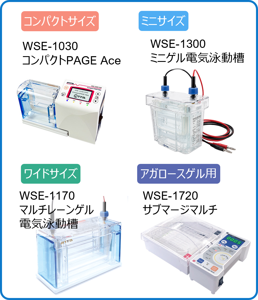 E2 のコピー.png