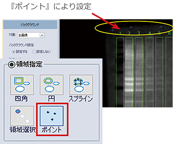 TP5p-5.png