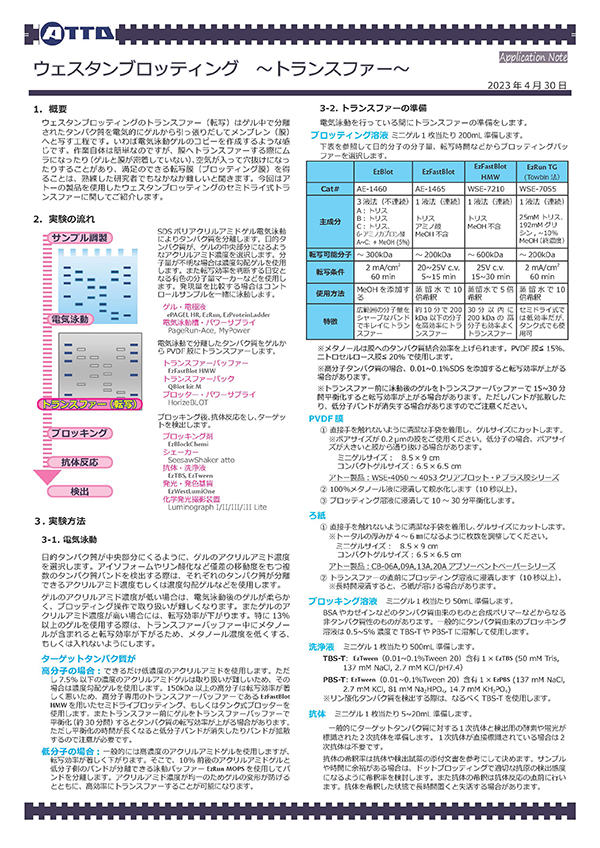 Application Note WB transfer_ver3_ページ_1.jpg
