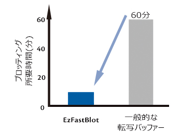 FastBlot_ブロッティング時間.jpg