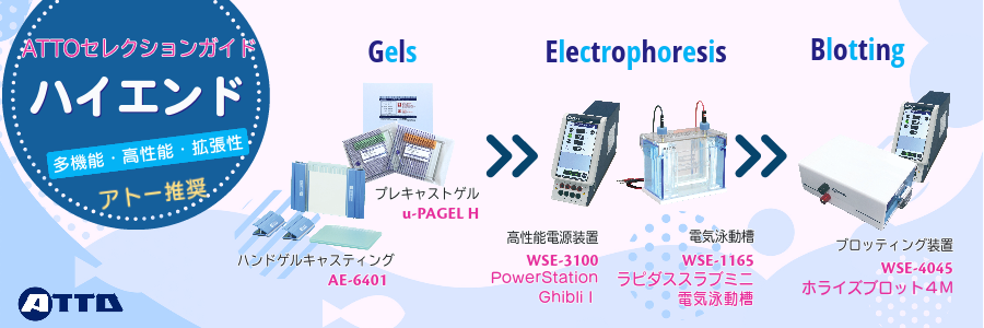 セレクションガイド３.png
