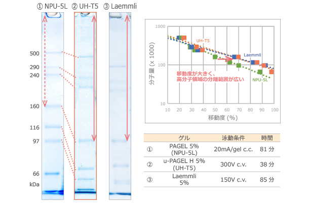 データ例1_分画範囲が広い.jpg