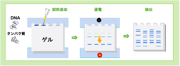 PAGEとは.png