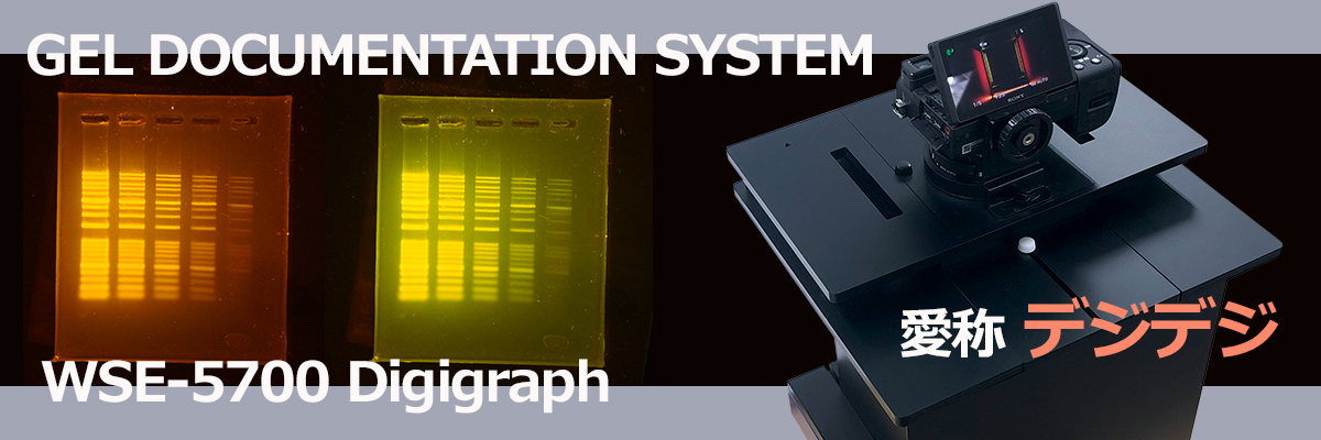WSE-5700 Digigraphデジデジ