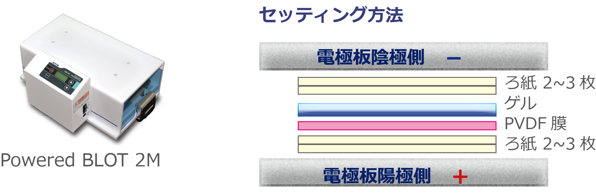 TP3p-4.png
