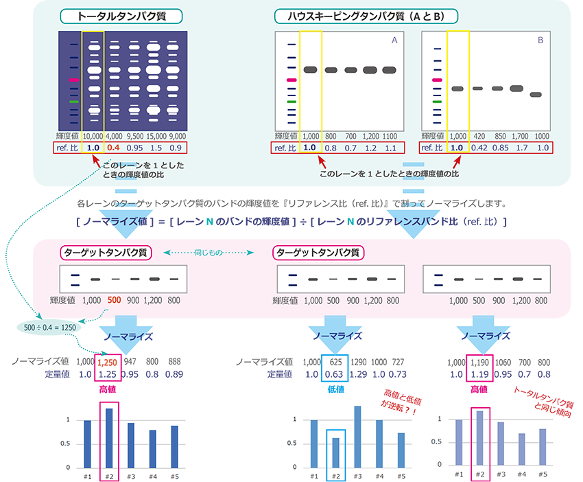 TP1p-4.png