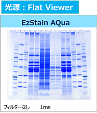 Printgraph-Classic-Protein-Color_FV_600.png