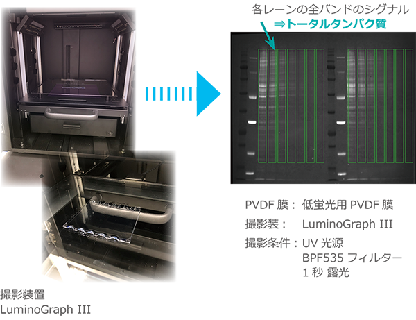 TP4p-4.png