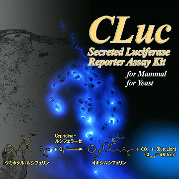 CLuc RAKit_360pix.jpg