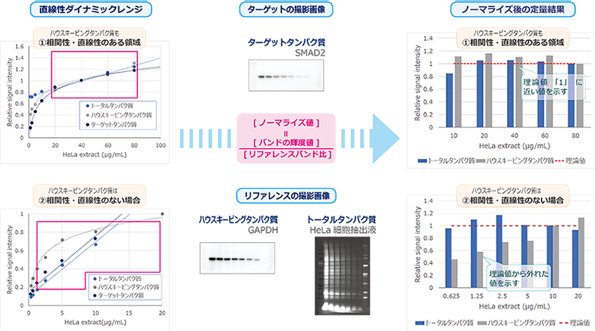TP6p-1.png